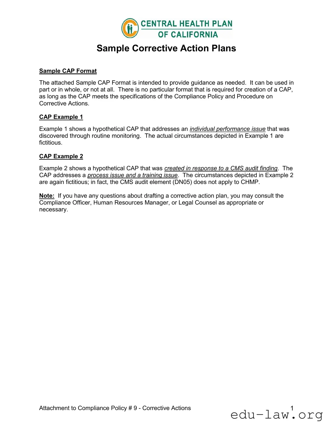 Fill in Your Corrective Action Plan Template