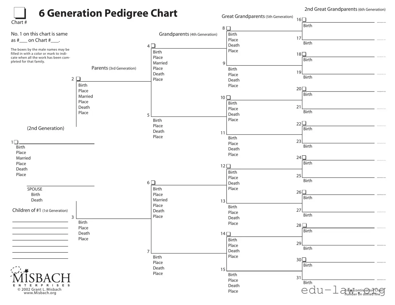 Fill in Your Pedigree Chart Template