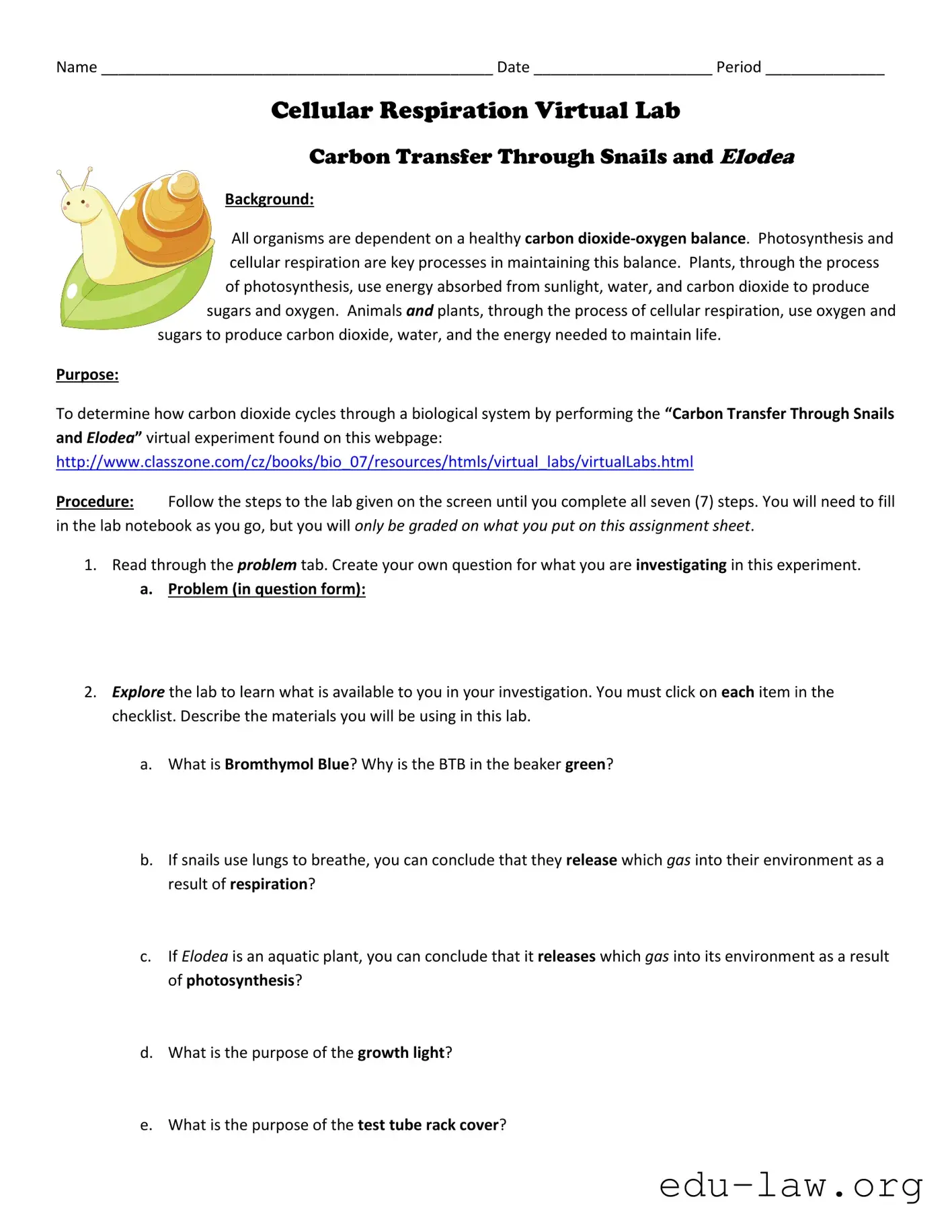 Fill in Your Cellular Respiration Virtual Lab Template