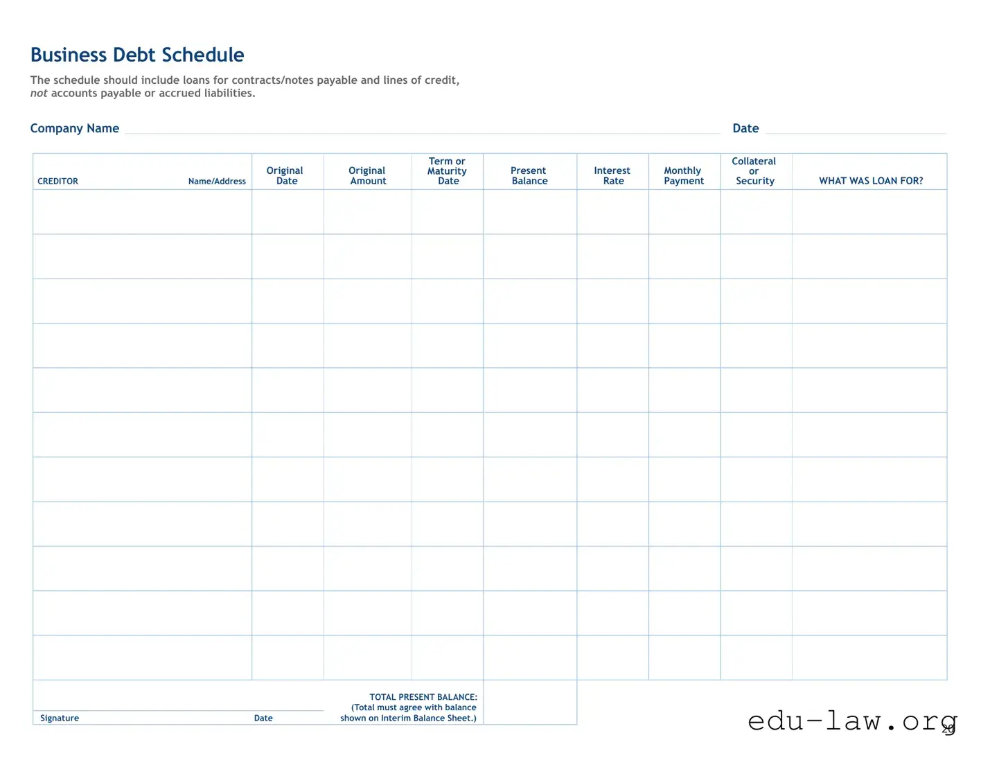 Fill in Your Business Debt Schedule Template