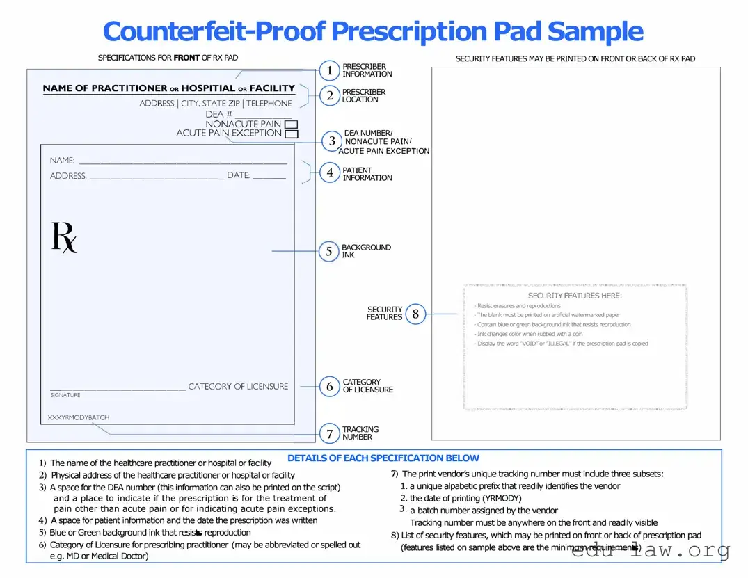Fill in Your Prescription Pad Template