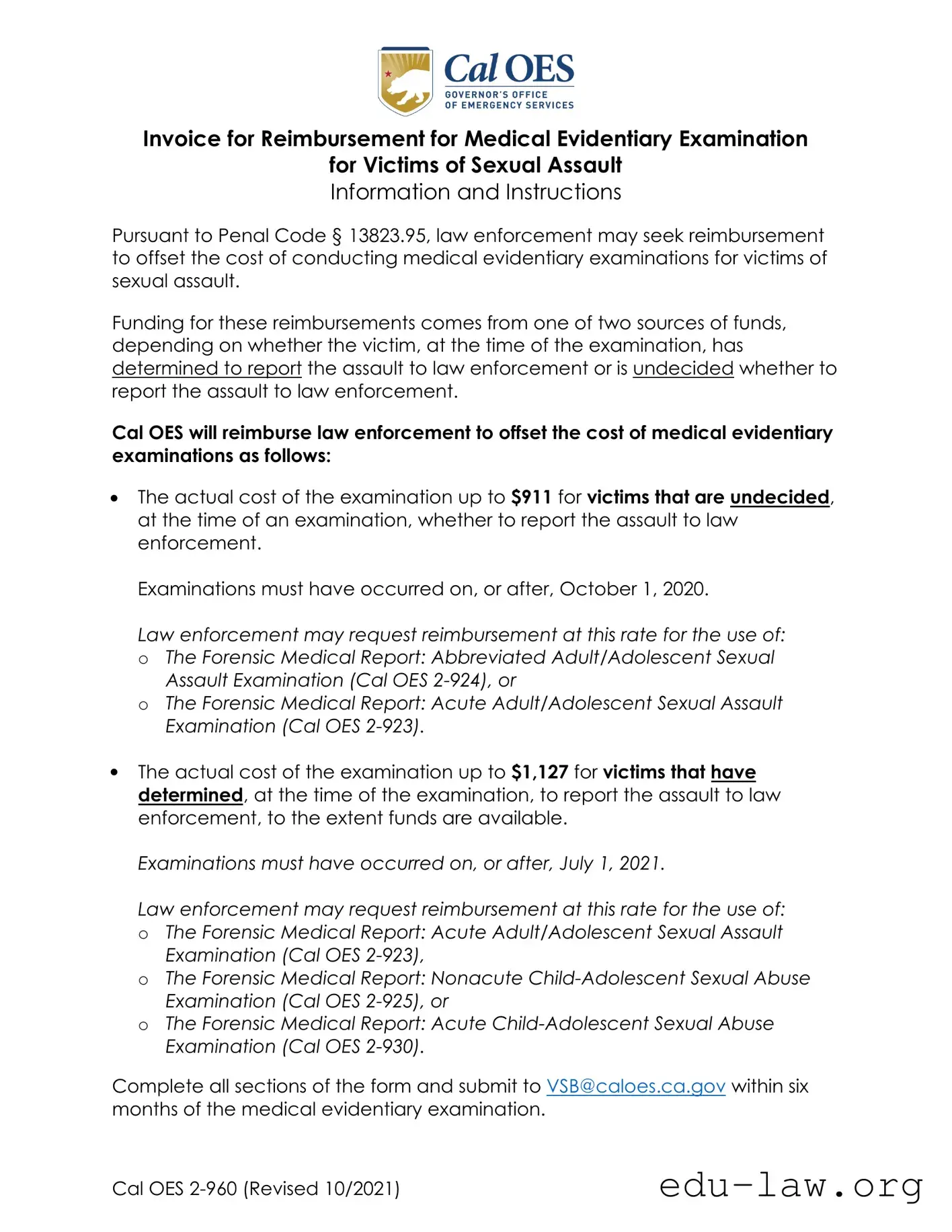 Fill in Your Examination Invoice Template