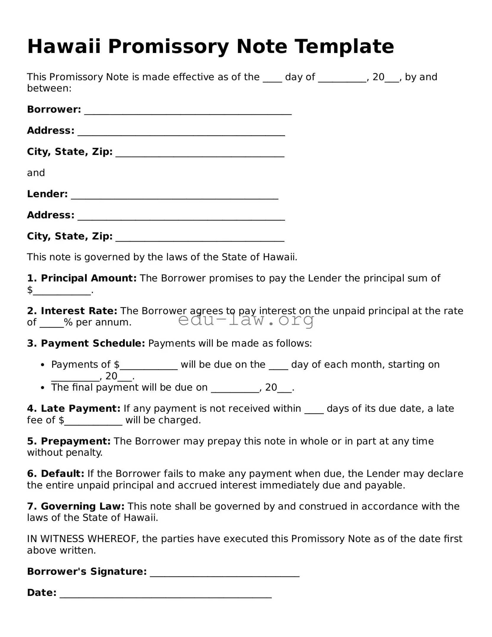 Legal  Promissory Note Template for Hawaii
