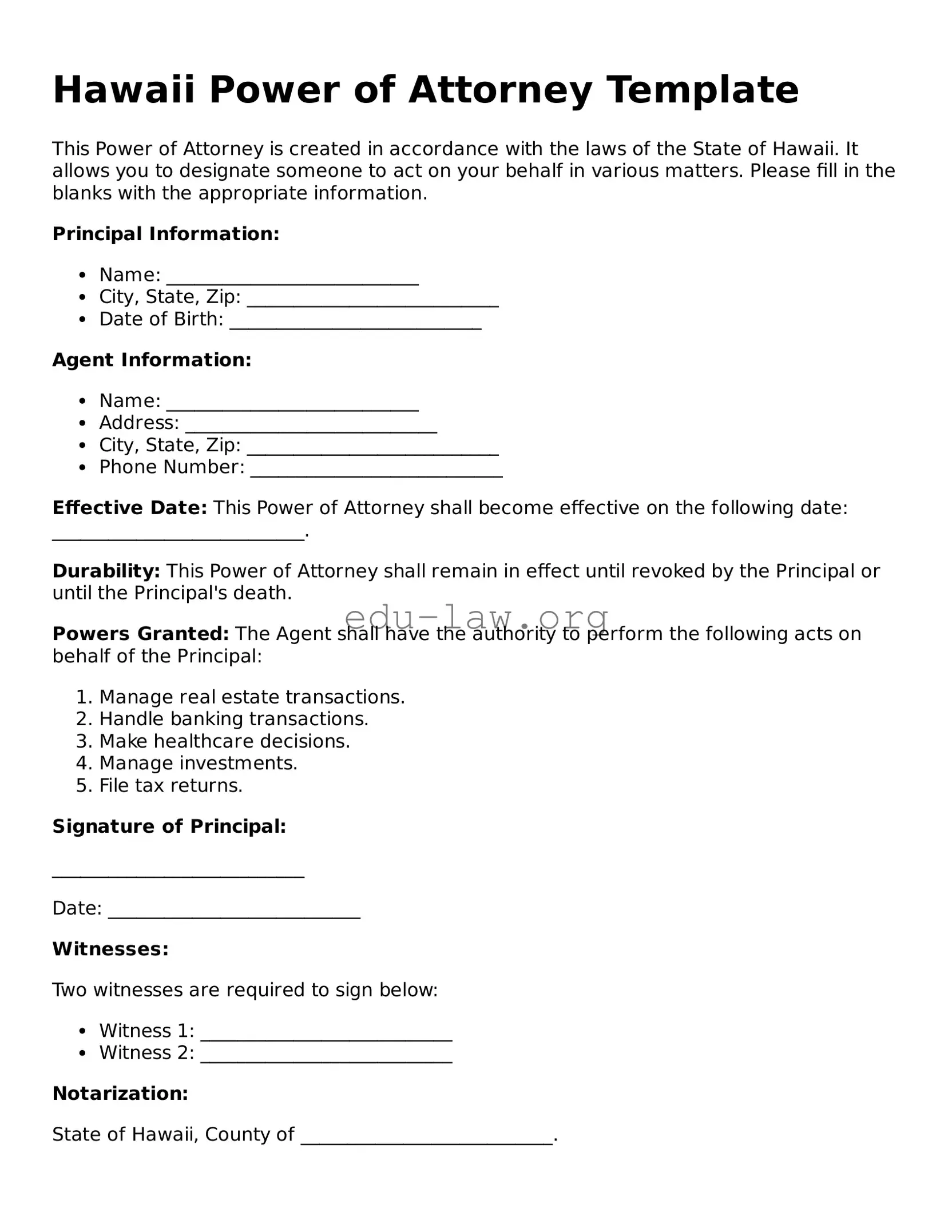 Legal  Power of Attorney Template for Hawaii