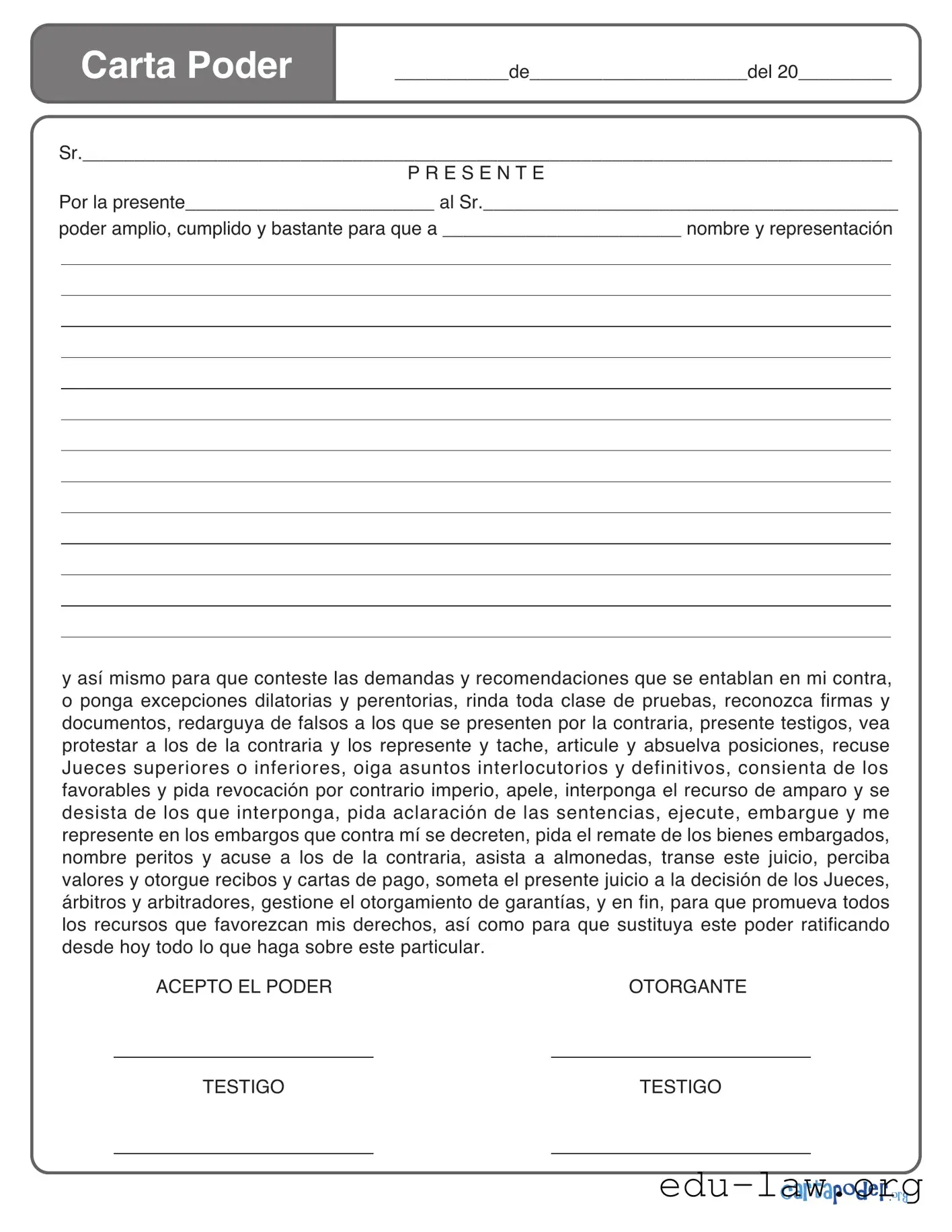 Fill in Your Carta Poder Template