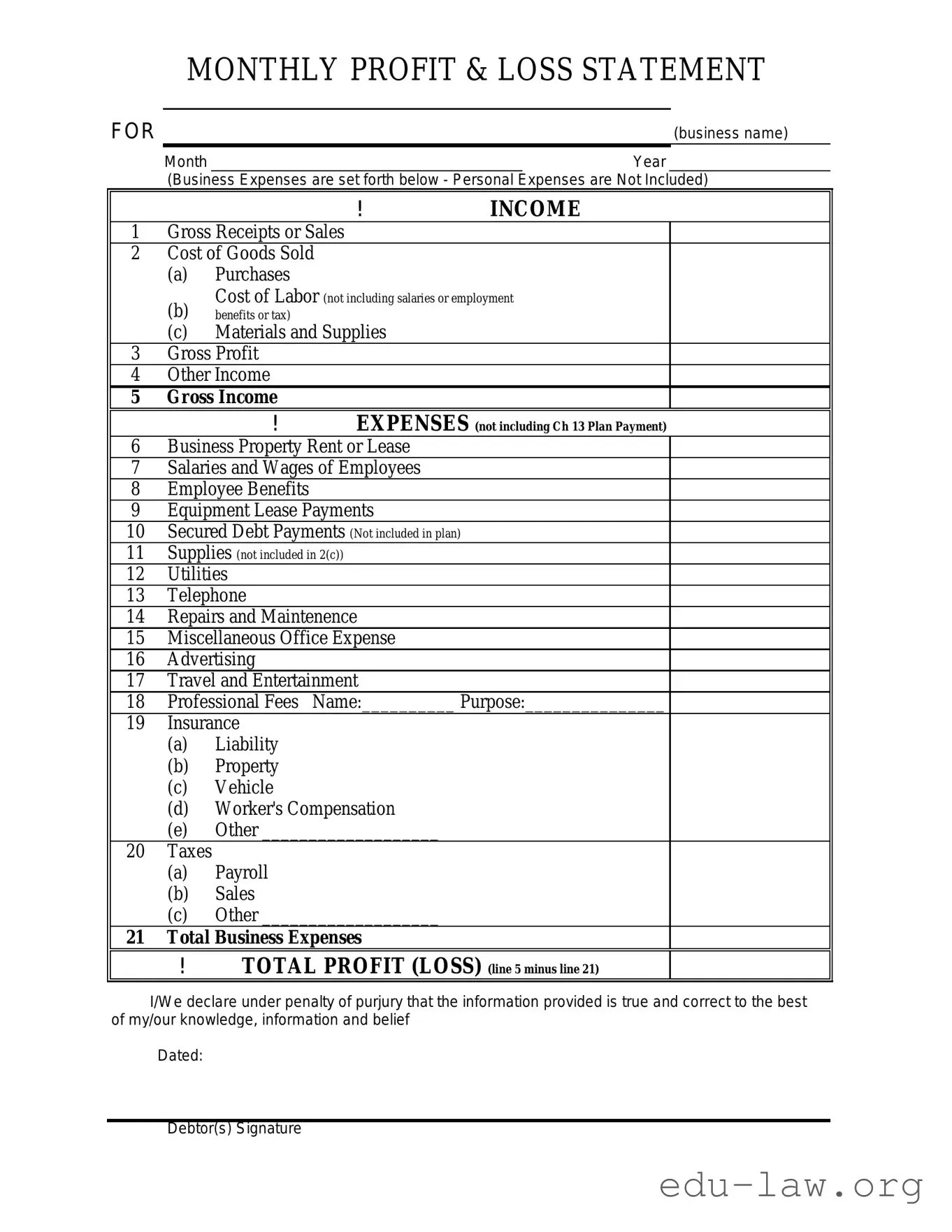 Fill in Your Profit And Loss Template