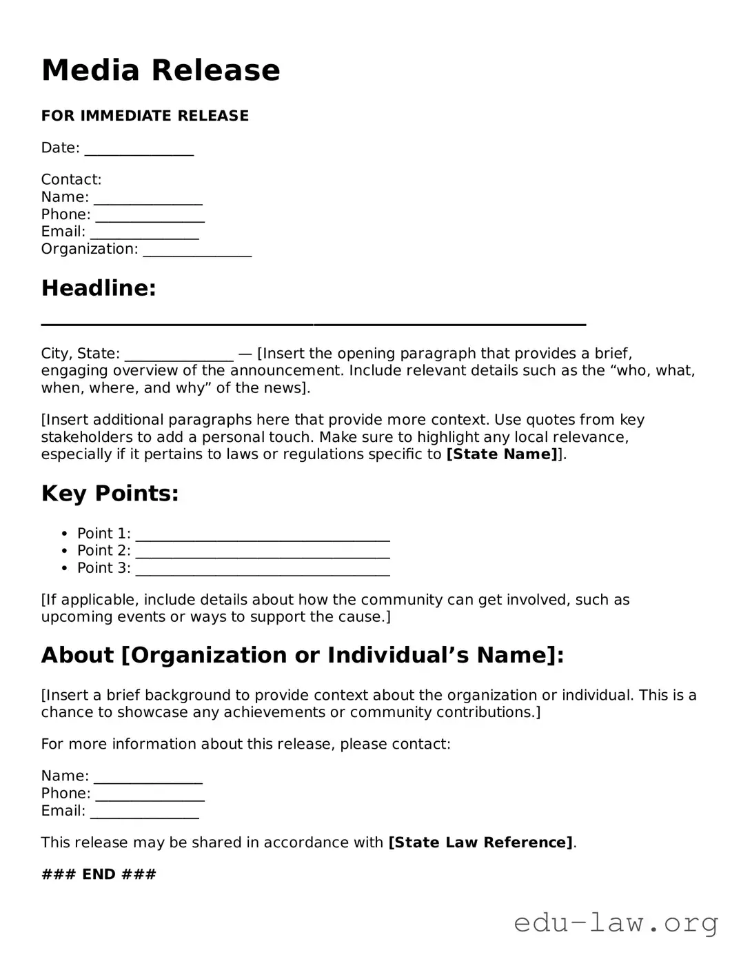 Media Release Template