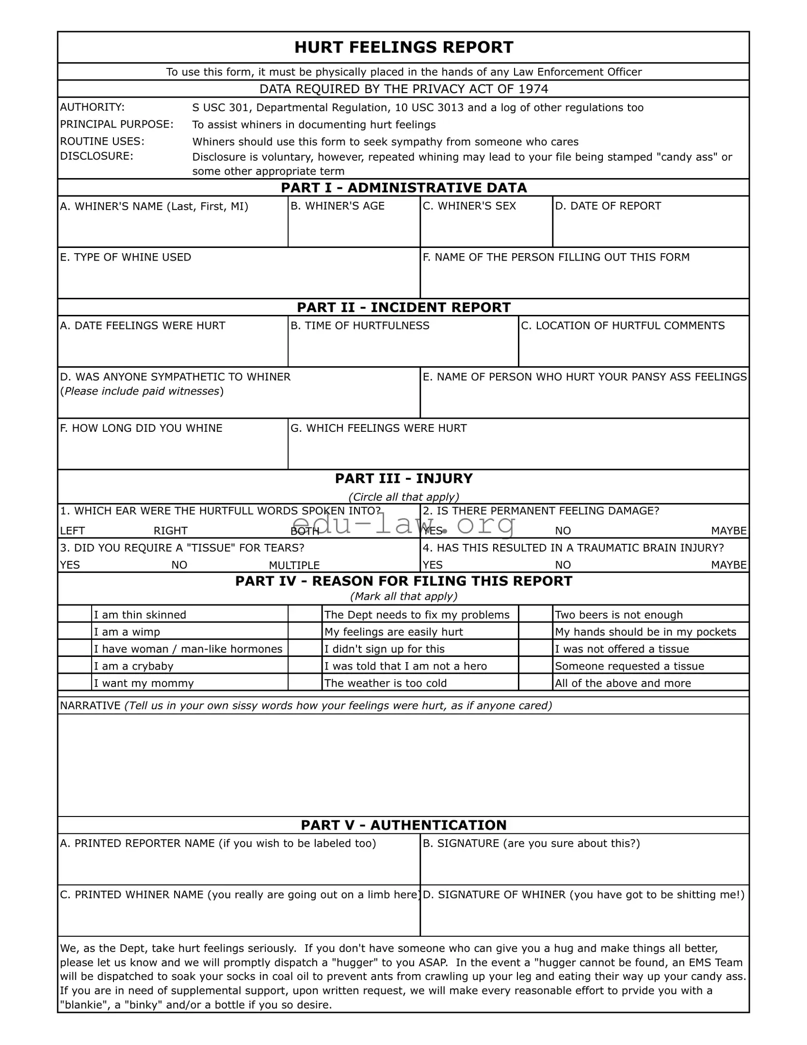Fill in Your Hurt Feelings Report Template
